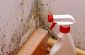 Mold Experts of Milwaukee